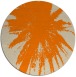 rug #418597 | round rug