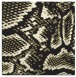 slither rug - product 588253