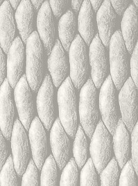 Product giant links 10-1 | shaggy rug