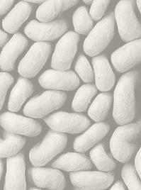 Product giant loops 11-1 | shaggy rug