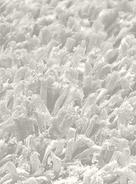 Product rayon fine 3-1 | shaggy rug