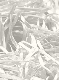 Product rayon wide 8-1 | shaggy rug